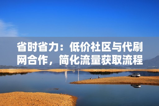 省时省力：低价社区与代刷网合作，简化流量获取流程