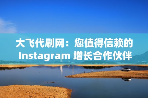 大飞代刷网：您值得信赖的 Instagram 增长合作伙伴