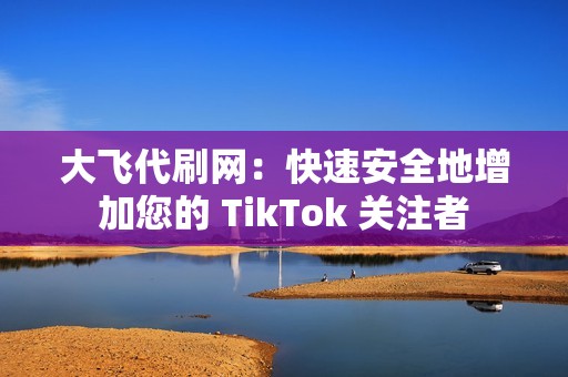 大飞代刷网：快速安全地增加您的 TikTok 关注者