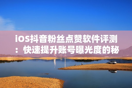 iOS抖音粉丝点赞软件评测：快速提升账号曝光度的秘密武器