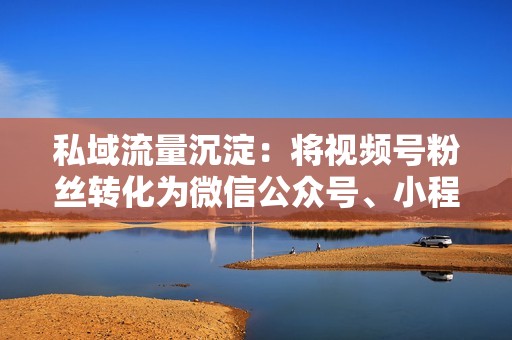 私域流量沉淀：将视频号粉丝转化为微信公众号、小程序等私域流量池，建立更深入的客户关系。