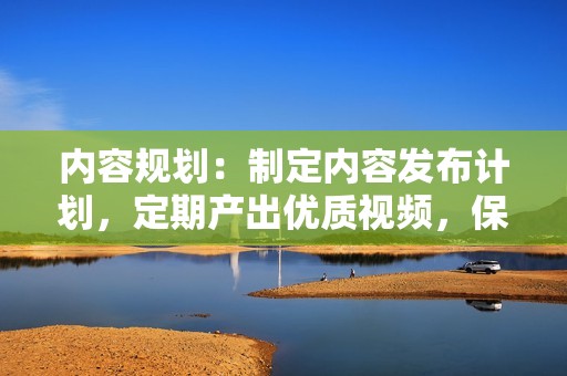 内容规划：制定内容发布计划，定期产出优质视频，保持内容更新频率。