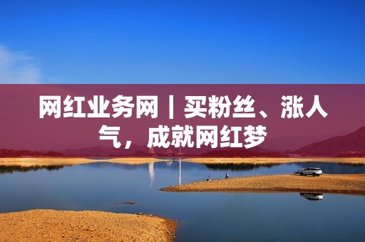 网红业务网｜买粉丝、涨人气，成就网红梦