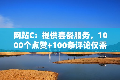 网站C：提供套餐服务，1000个点赞+100条评论仅需10元，性价比极高。