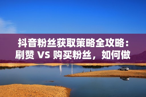 抖音粉丝获取策略全攻略：刷赞 VS 购买粉丝，如何做出明智选择？