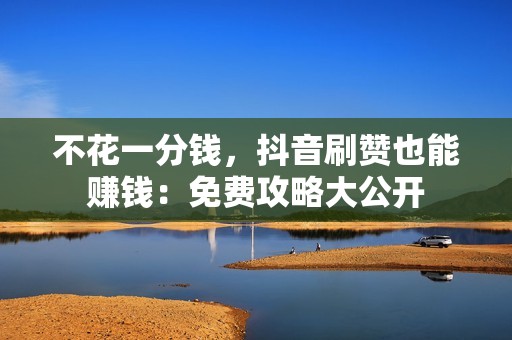 不花一分钱，抖音刷赞也能赚钱：免费攻略大公开