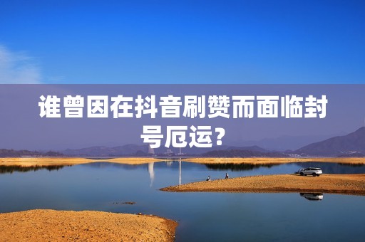 谁曾因在抖音刷赞而面临封号厄运？