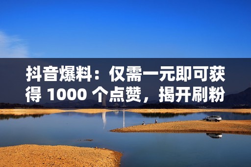 抖音爆料：仅需一元即可获得 1000 个点赞，揭开刷粉背后的秘密