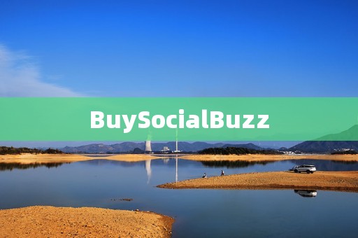 BuySocialBuzz