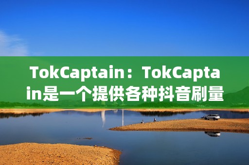 TokCaptain：TokCaptain是一个提供各种抖音刷量服务的全面平台。它以其真实用户交互、针对性的目标人群选项和全天候客户支持而闻名。