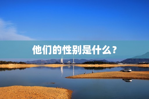 他们的性别是什么？