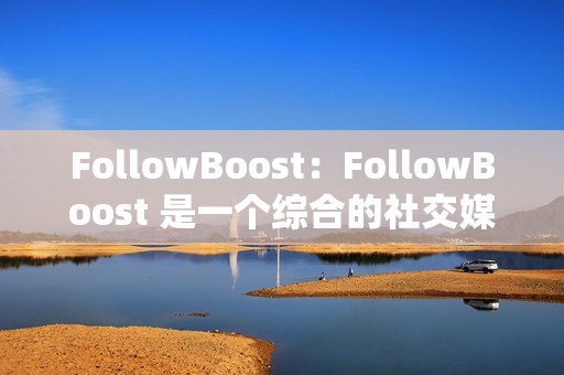 FollowBoost：FollowBoost 是一个综合的社交媒体营销平台，为 TikTok 提供了广泛的功能，包括点赞机器人、关注者机器人和评论机器人。