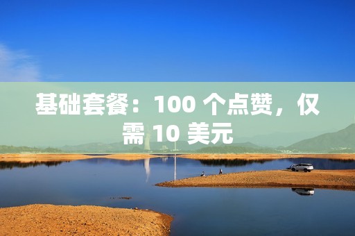 基础套餐：100 个点赞，仅需 10 美元