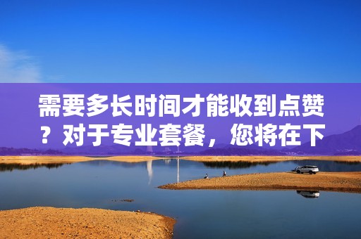 需要多长时间才能收到点赞？对于专业套餐，您将在下单后的 12 小时内开始收到点赞。