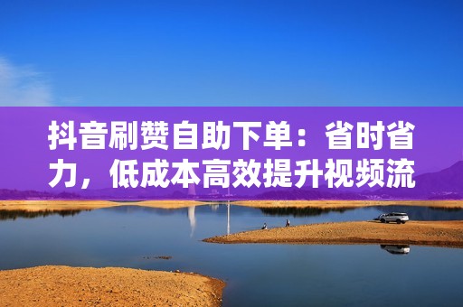 抖音刷赞自助下单：省时省力，低成本高效提升视频流量，助力营销成功