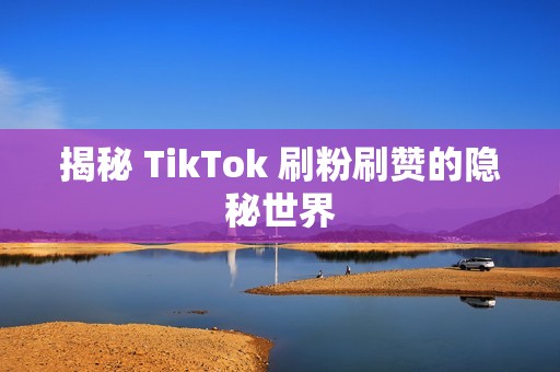 揭秘 TikTok 刷粉刷赞的隐秘世界