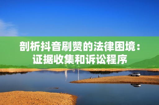 剖析抖音刷赞的法律困境:证据收集和诉讼程序 剖析抖音刷赞的法律困境:证据收集和诉讼程序