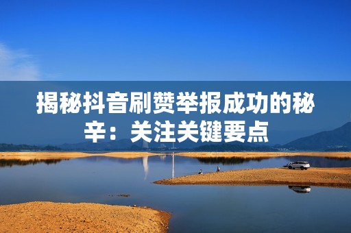 揭秘抖音刷赞举报成功的秘辛：关注关键要点