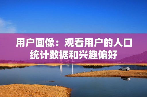 用户画像：观看用户的人口统计数据和兴趣偏好