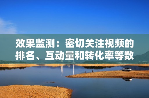 效果监测：密切关注视频的排名、互动量和转化率等数据，及时调整策略以优化效果。