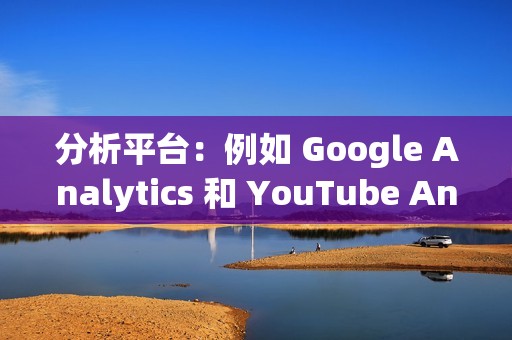 分析平台：例如 Google Analytics 和 YouTube Analytics，提供深入的有关视频表现的见解，包括观看量、互动量和转化率。