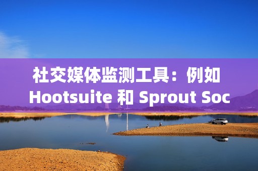 社交媒体监测工具：例如 Hootsuite 和 Sprout Social，可以跟踪视频在社交媒体平台上的表现，包括互动和品牌提及。