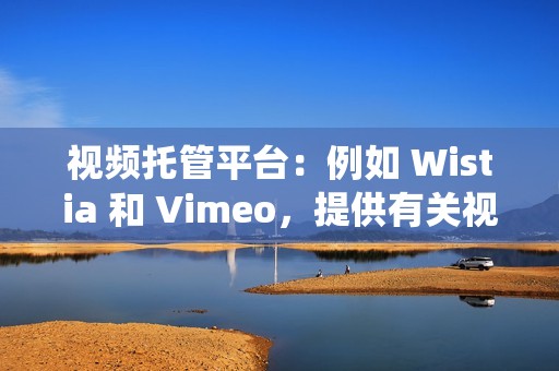 视频托管平台：例如 Wistia 和 Vimeo，提供有关视频表现的详细统计数据，包括观众留存率和互动量。