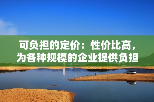 可负担的定价：性价比高，为各种规模的企业提供负担得起的解决方案。