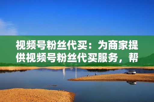 视频号粉丝代买：为商家提供视频号粉丝代买服务，帮助商家快速获取视频号粉丝。