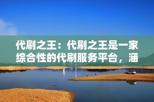 代刷之王：代刷之王是一家综合性的代刷服务平台，涵盖了快手、抖音、微博等多个社交媒体平台的代刷服务。代刷之王拥有强大的技术实力和专业的运营团队，可以为用户提供安全可靠的代刷服务。