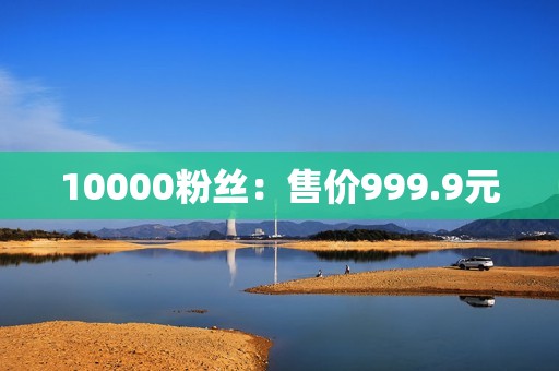 10000粉丝：售价999.9元