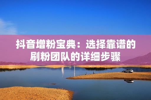 抖音增粉宝典：选择靠谱的刷粉团队的详细步骤