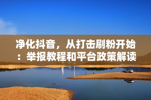 净化抖音，从打击刷粉开始：举报教程和平台政策解读