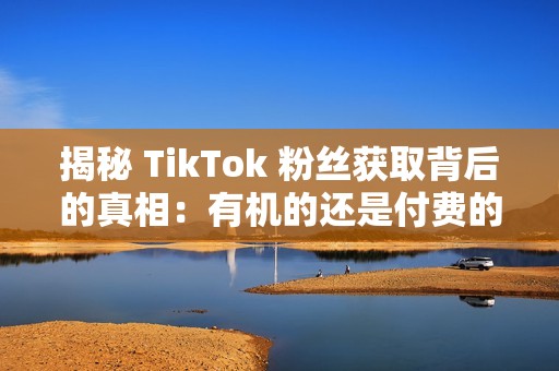 揭秘 TikTok 粉丝获取背后的真相：有机的还是付费的？