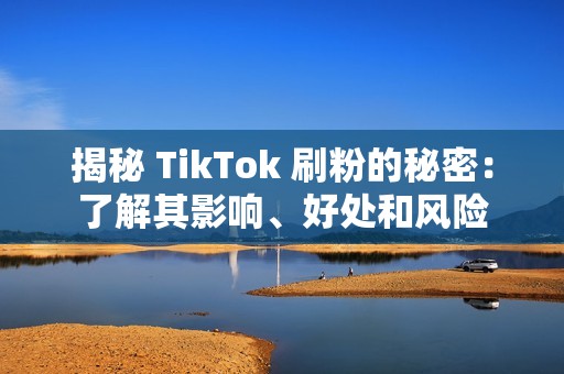 揭秘 TikTok 刷粉的秘密：了解其影响、好处和风险