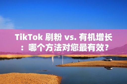 TikTok 刷粉 vs. 有机增长：哪个方法对您最有效？