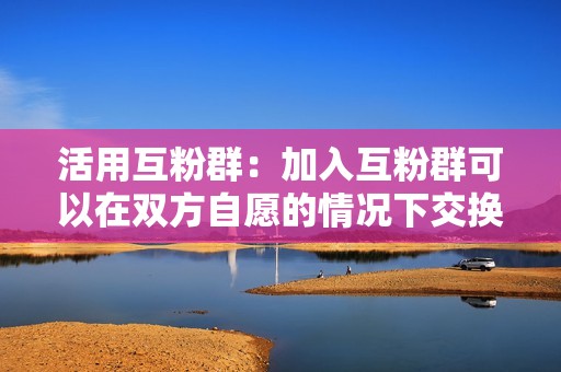 活用互粉群：加入互粉群可以在双方自愿的情况下交换关注，安全且免费。