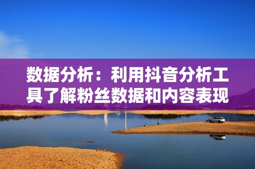 数据分析：利用抖音分析工具了解粉丝数据和内容表现，及时调整策略。