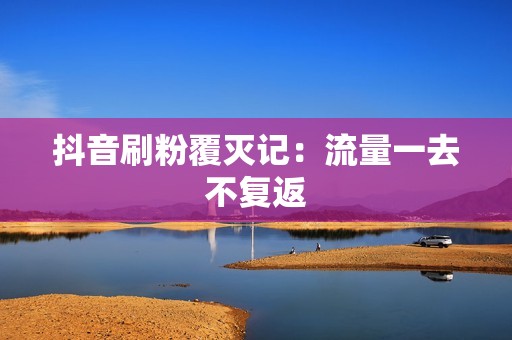 抖音刷粉覆灭记：流量一去不复返