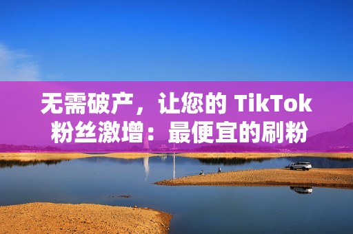 无需破产，让您的 TikTok 粉丝激增：最便宜的刷粉服务