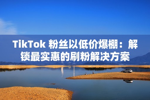 TikTok 粉丝以低价爆棚：解锁最实惠的刷粉解决方案