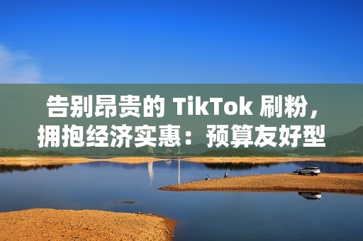 告别昂贵的 TikTok 刷粉，拥抱经济实惠：预算友好型服务