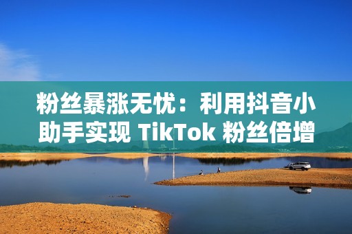 粉丝暴涨无忧：利用抖音小助手实现 TikTok 粉丝倍增