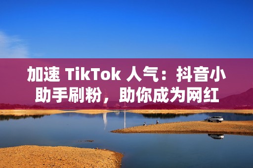 加速 TikTok 人气：抖音小助手刷粉，助你成为网红