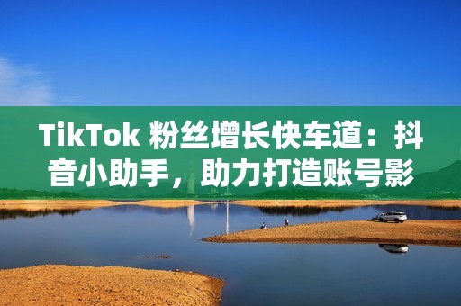 TikTok 粉丝增长快车道：抖音小助手，助力打造账号影响力