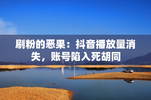 刷粉的恶果：抖音播放量消失，账号陷入死胡同