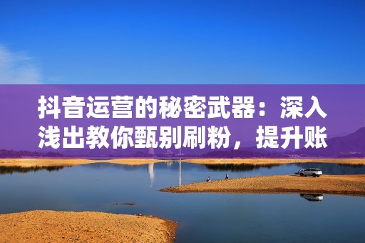 抖音运营的秘密武器：深入浅出教你甄别刷粉，提升账号质量