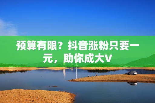 预算有限？抖音涨粉只要一元，助你成大V