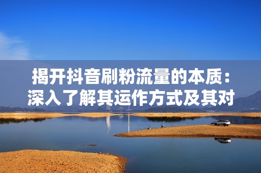 揭开抖音刷粉流量的本质：深入了解其运作方式及其对算法的影响