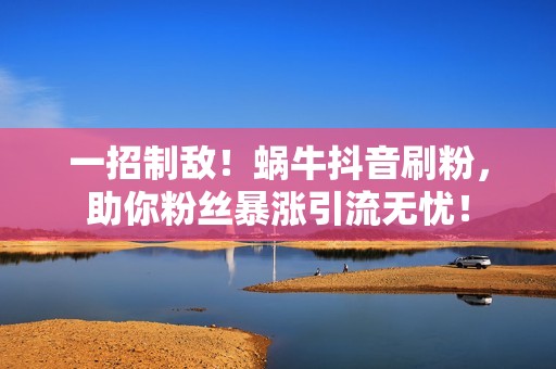 一招制敌！蜗牛抖音刷粉，助你粉丝暴涨引流无忧！